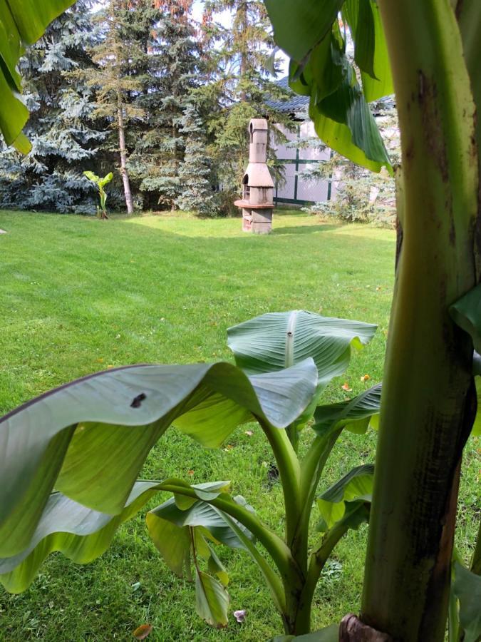 Villa Stettiner Haff Nebengebaeude à Mönkebude Extérieur photo